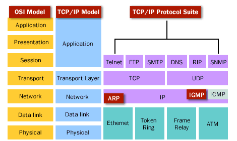 پروتکل های TCP/IP