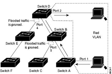 Broadcast traffic in a switched network with pruning