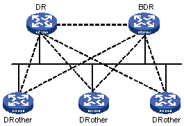 DR and BDR in a network