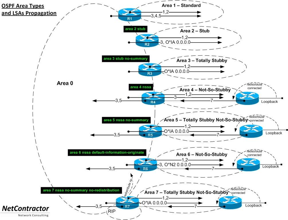 ساختار OSPF