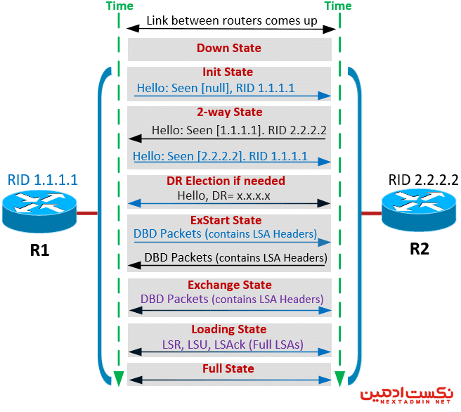 OSPF Neighbor States & OSPF Neighbor Forming Process