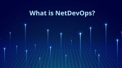 What is NetDevOps
