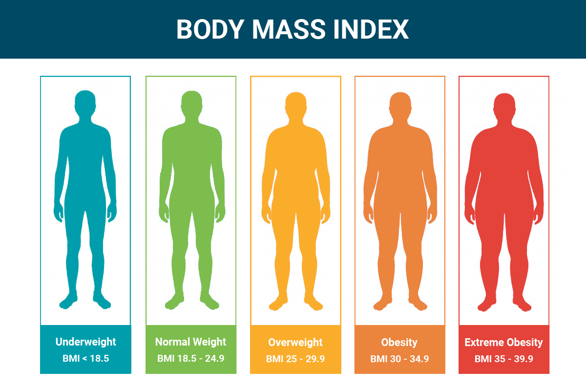 body mass index bmi chart
